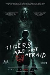 Тигры не боятся