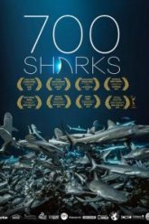 700 акул