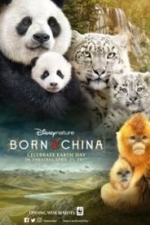 Рождённые в Китае