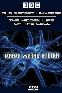 Внутренняя вселенная: Тайная жизнь клетки 