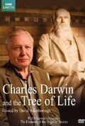 Чарльз Дарвин и Древо жизни 