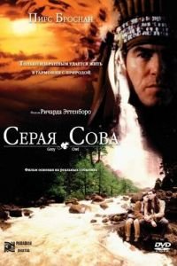 Серая сова (1998)