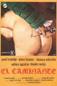 Странник (1979)